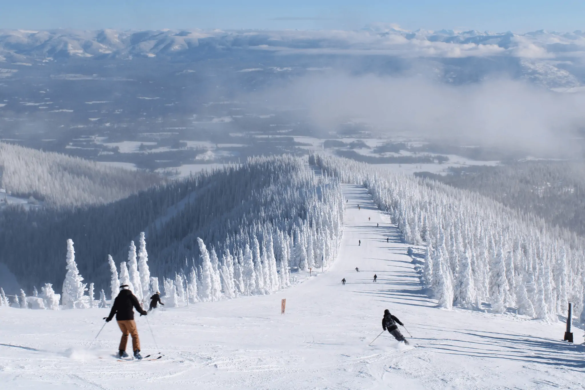 Skiers descend a snowy mountain slope at Schweitzer Mountain Resort, surrounded by snow-covered trees and distant hills under a clear blue sky, epitomizing the thrill found in every page of the Ski Season Guide.